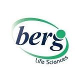 berg